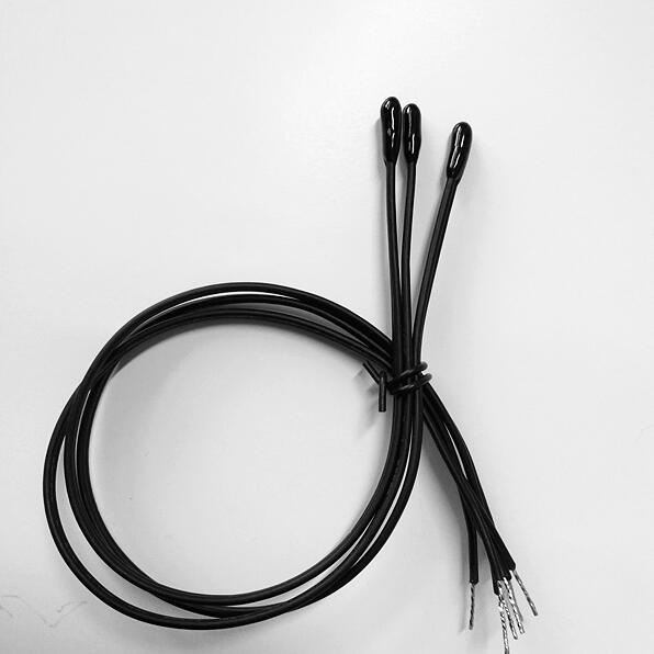 Epoxy Encapsulation Ntc Thermistor Probe for Waterproof Working Condition