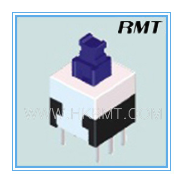Push Button Switch (P1080D10011)