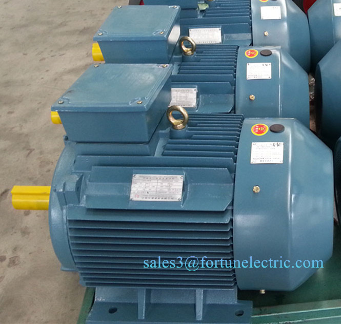 Low Voltage Three Phase Induction Electric Motor