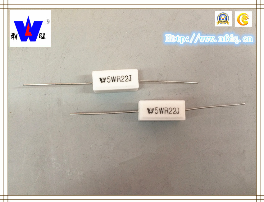 Ceramic Encased Wirewound Resistor (RX27-1)