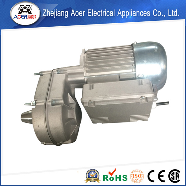 Low Rpm AC Single Phase Asynchronous Geared Electric Motor