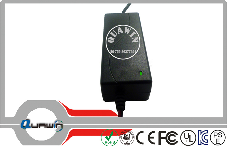 12V 2A Ni-MH Battery Charger