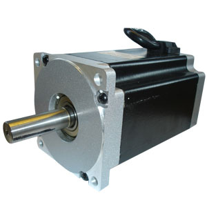 310V Brushless DC Motor for Beauty Products