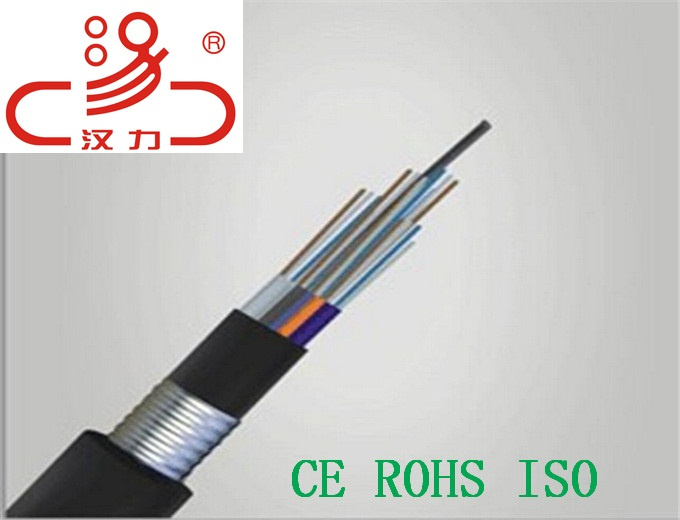 Gytw, GYTA, GYTS 2- 48core Optical Fiber Cable