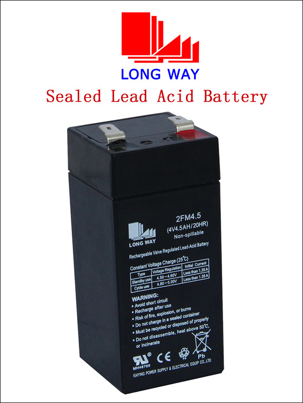 4V Backup Battery for Security System, UPS Battery