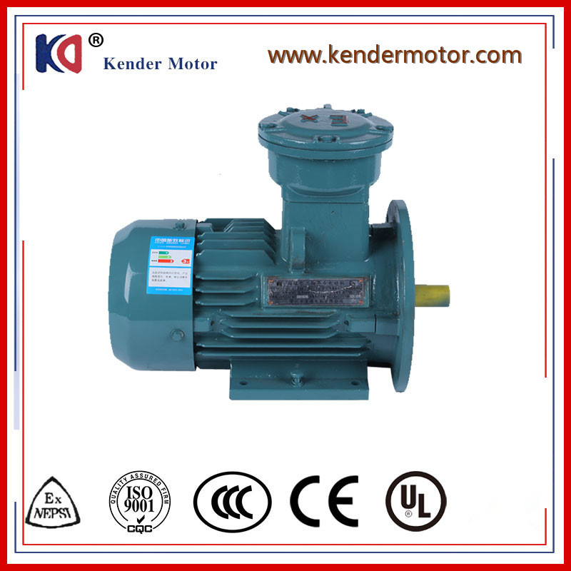 Asynchronous Electric (Electrical) Anti-Explosion Motor for Crusher