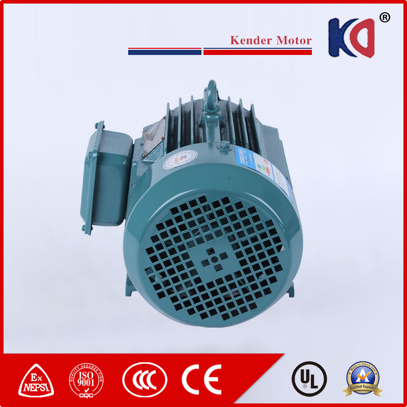 380V 50Hz AC Phase Electric Motor with Ultra-Efficient