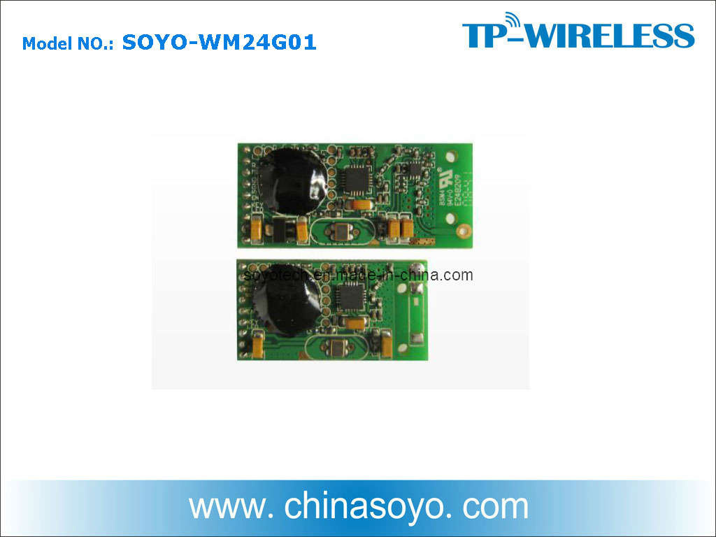 Soyo 2.4G Digital Wireless Audio Module Solution