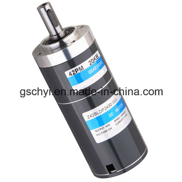 GS BLDC Planetary 25W 42mm DC Brushless Gear Motor