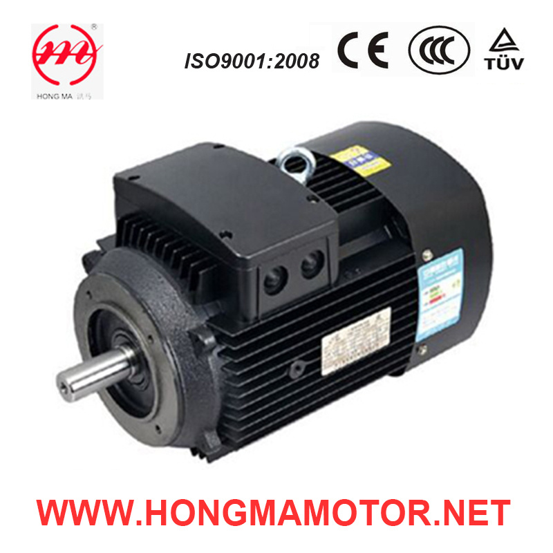 Three Phase AC Induction Pump Motor (802-2-1.1KW)