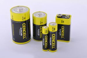 Super Power Alkaline Dry Battery
