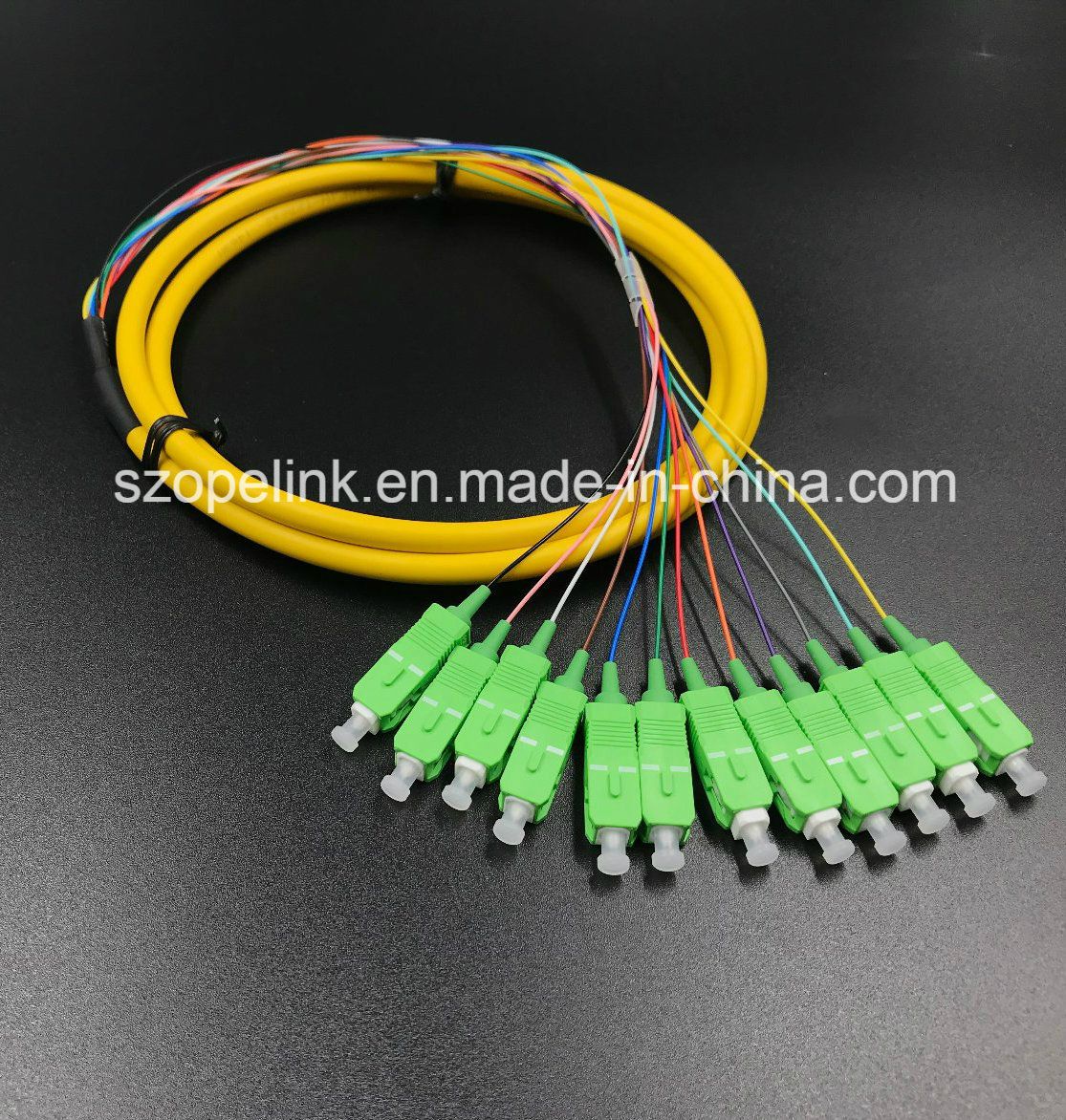 Fiber Optic Patchcord Fiber Connector 12 Core Bundle Pigtail Sc/APC G652D