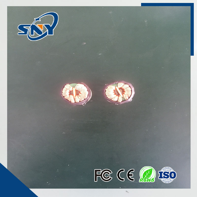 Custom Coil Inductor Toroidal Inductor Power Inductor