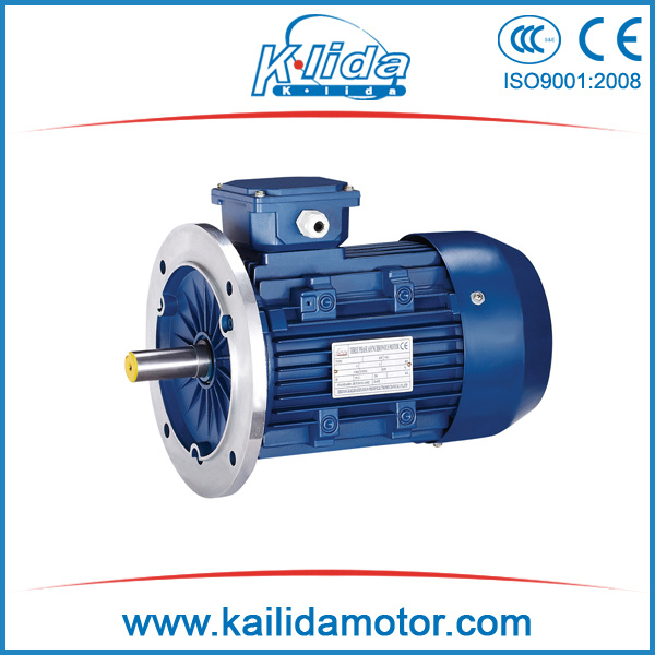 Ms Series Three-Phase Copper Wire AC Electric Motor