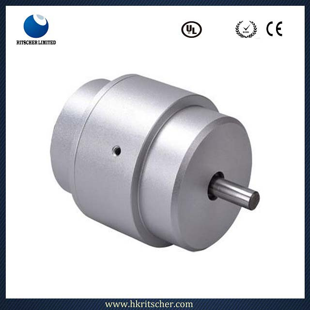High Quality Bicycle 300 Watt DC Motor