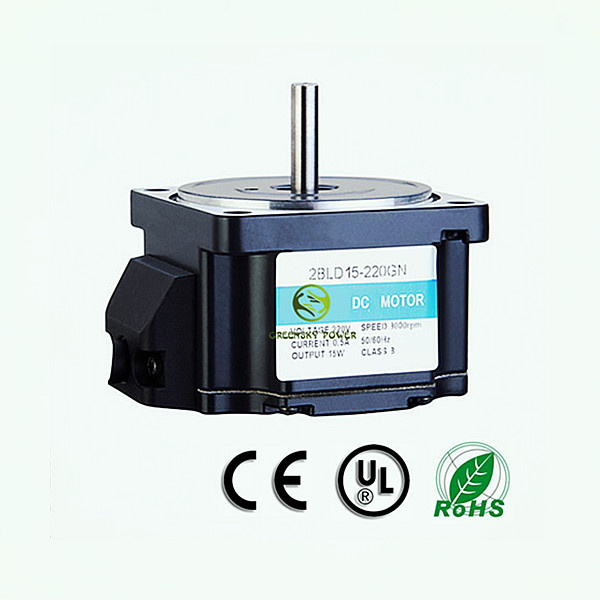 15W Reducer Motor, High Torque DC Motor