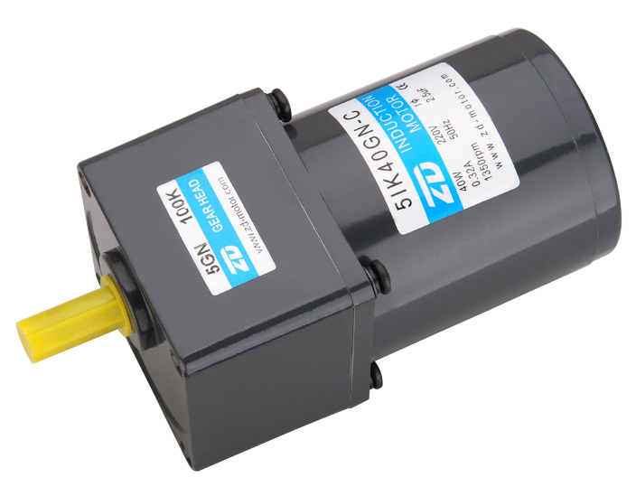 220V 50Hz 40w AC Indution Gear Motor