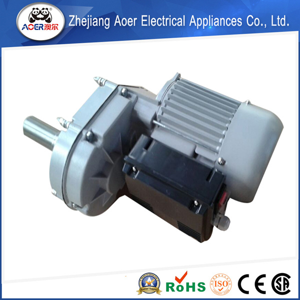 Beautiful Design Low Price Various Styles Electrical Gear Motor
