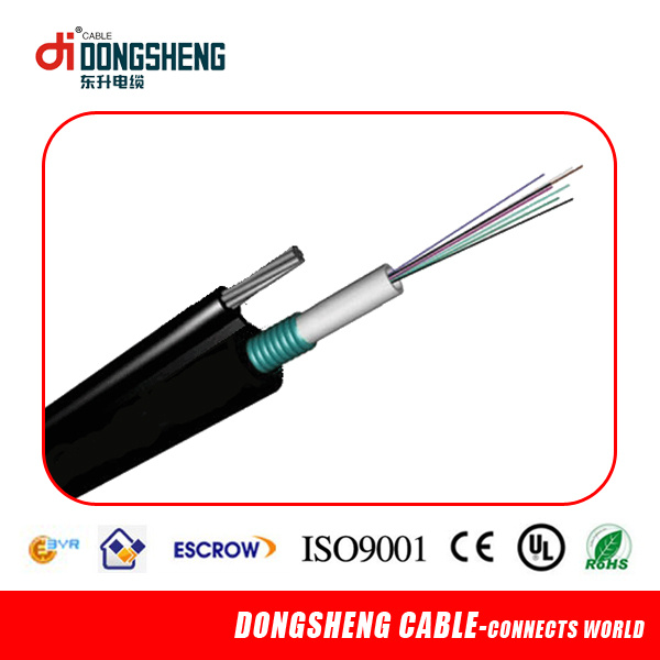 12 Core Fiber Optic Cable