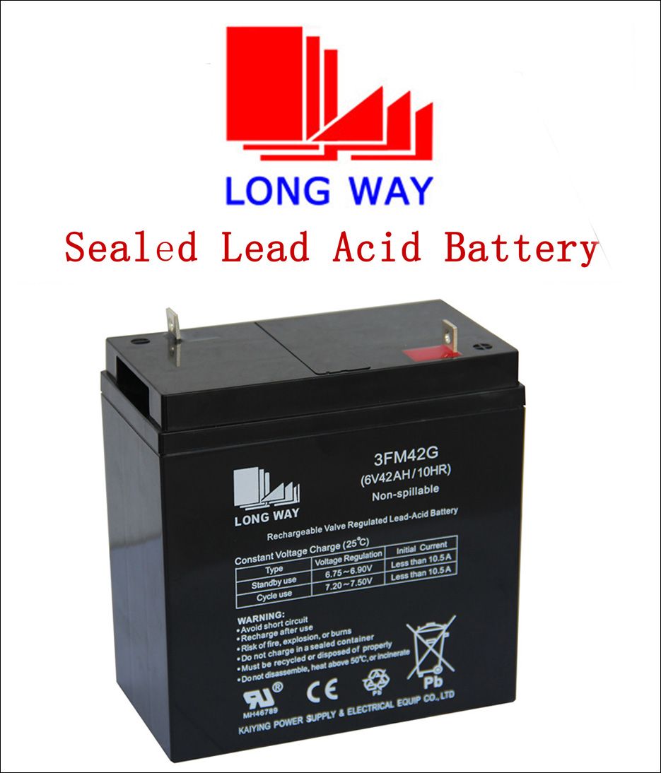 6V42ah Rechargeable Lead Acid AGM Battery for Security System