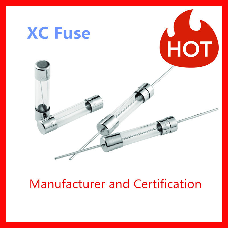 6*30 XC Fuse Glsss Slow Blow Fuse with UL PSE Certification