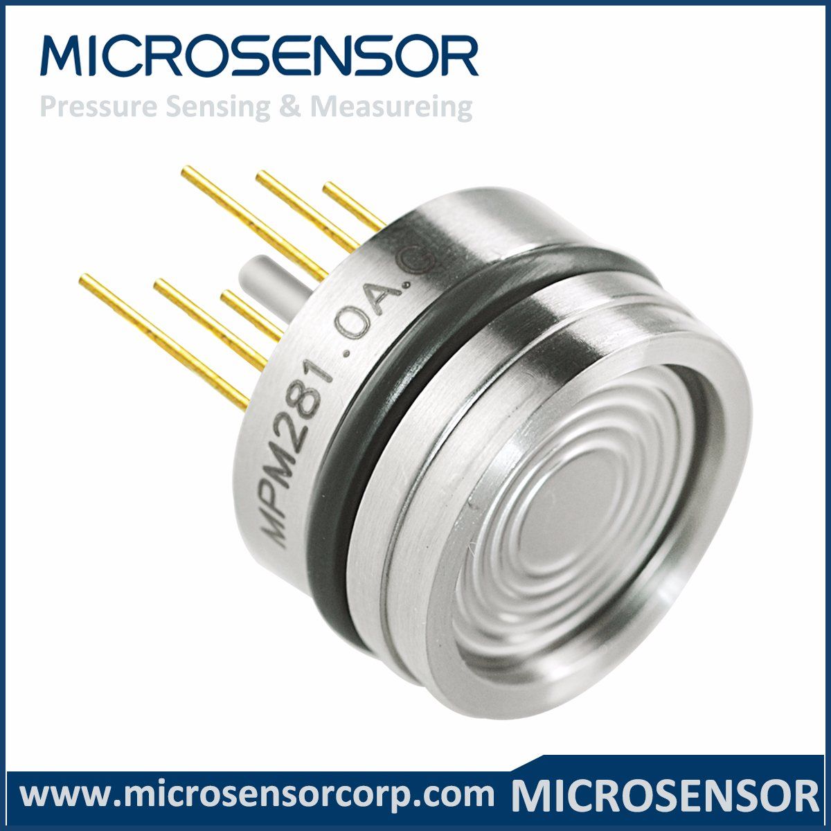 Temperature Compensated Water Pressure Sensor (MPM281)