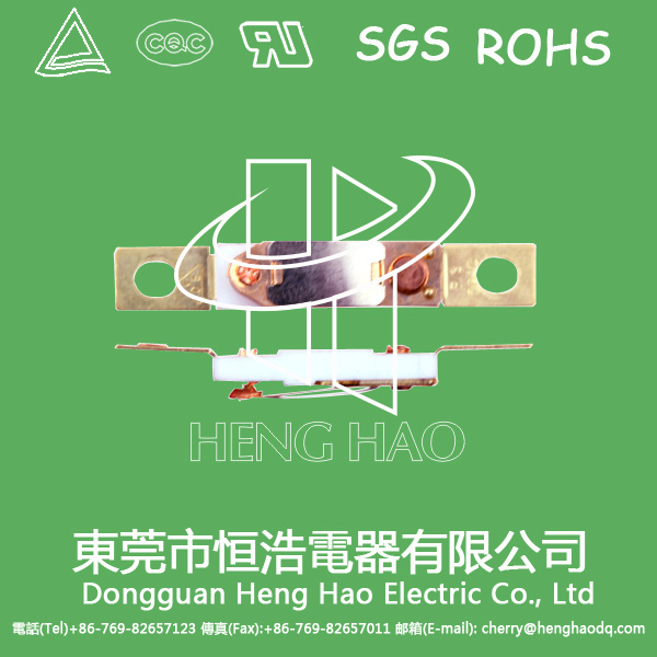 RS-03 Temperature Thermostat, RS-03 Thermostat