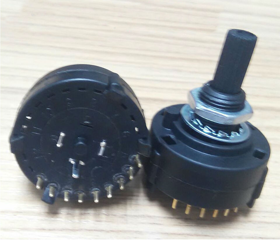 2 Pole 12 Position Dp12t Rotary Switch (RS26)