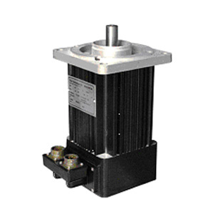 Conventional Middle Inertia AC Brushless Servo Motor (BM80)