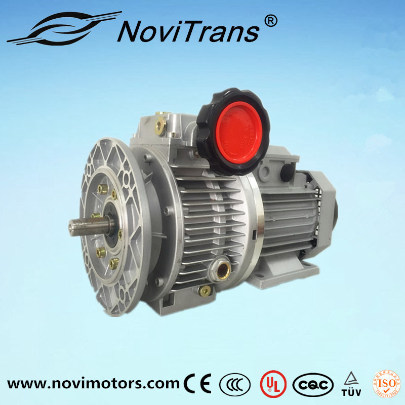 Three Phase Permanent Magnet Synchronous Motor Flexible Motors with Speed Governor (YFM-132/G)