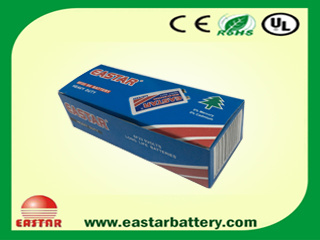 Carbon Zinc Battery (6F22 9V)