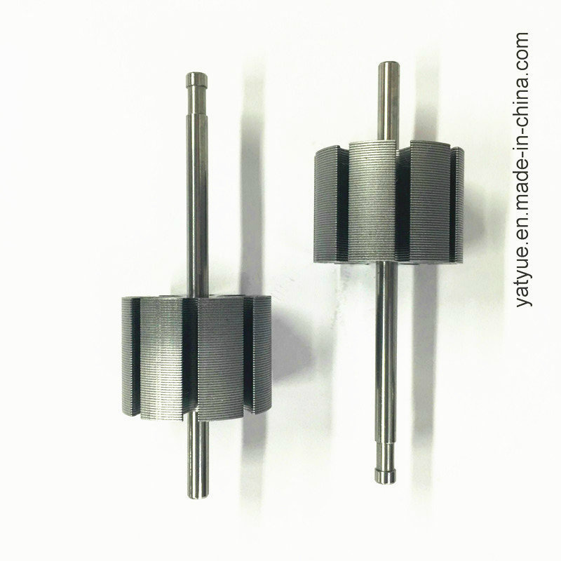 Top Quality Micro Motor Parts Rotor 8p