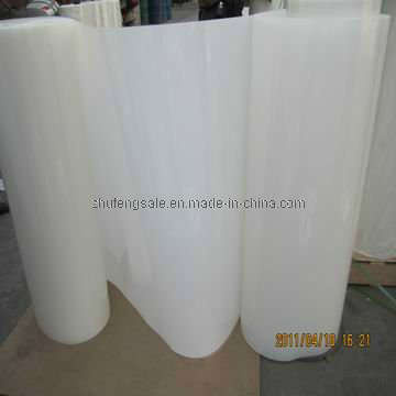 6021 Insulation Film/Polyester Film