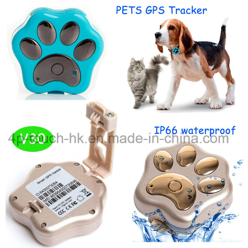 Cute GPS Tracker for Pets with Waterproof IP66 (V30)