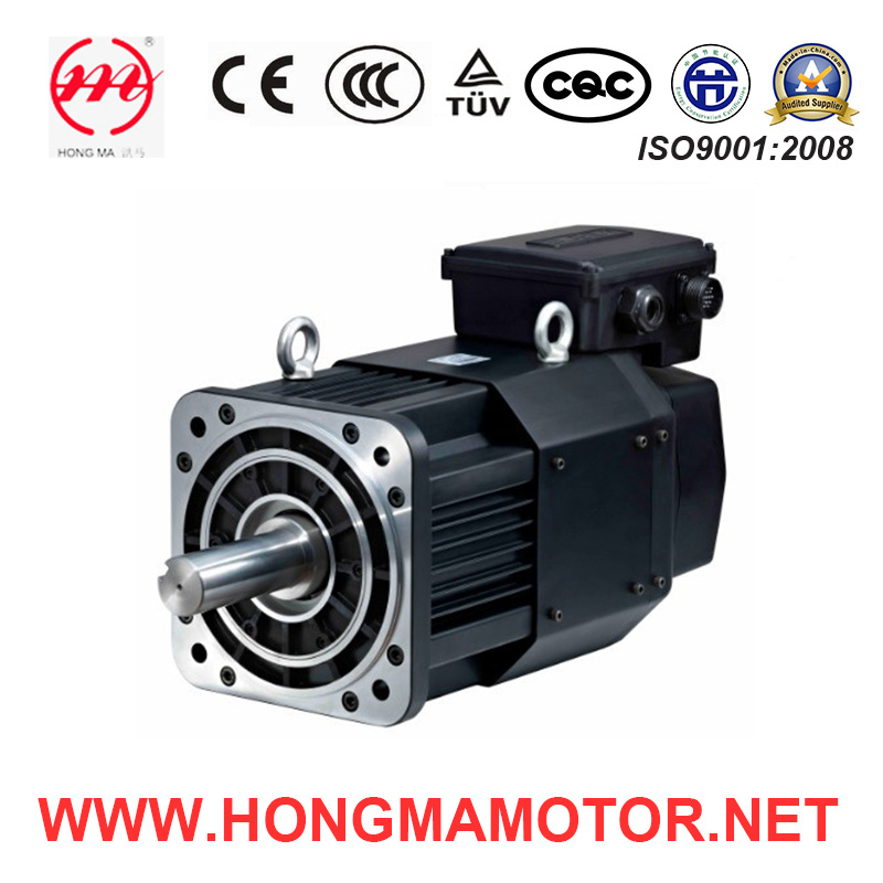 St Series Servo Motor/Electric Motor with CE (2.4kw) /220V