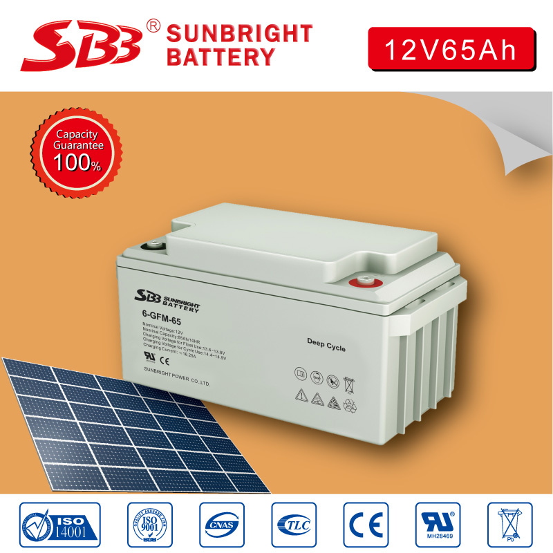 12V65ah Rechargeable UPS Deep Cycle Battery