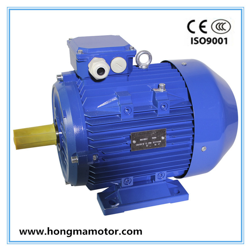 Electric AC Premium Efficiency Motor