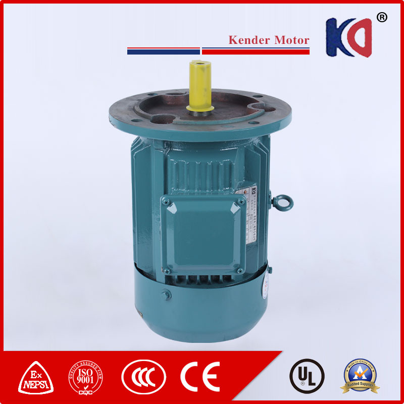 2.2kw AC Induction Electrical Motor with High Voltage