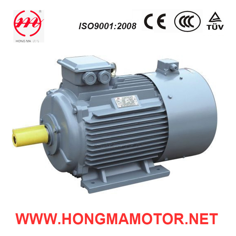 0.18~315kw Cast Iron Frequency Variable Electric AC Motor
