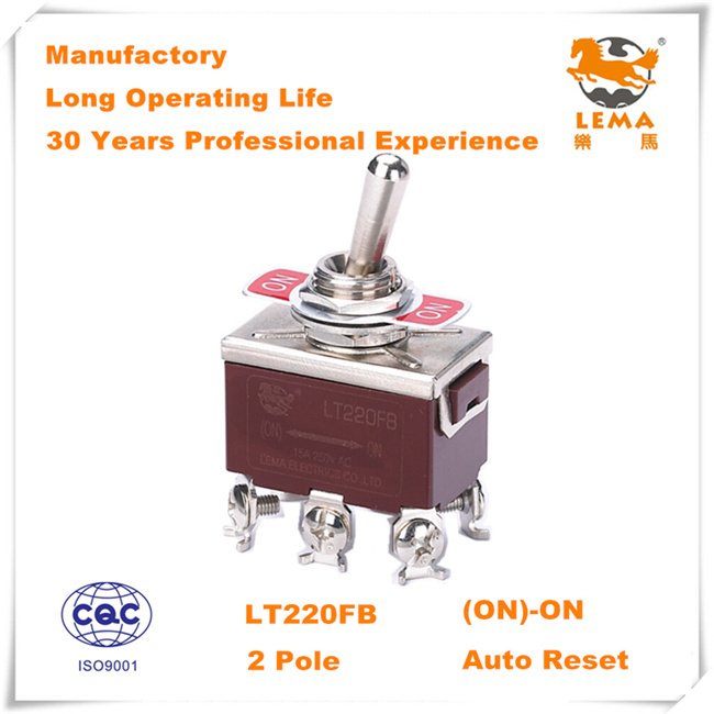 Lema Lt220fb Double Pole Screw Terminal Toggle Switch