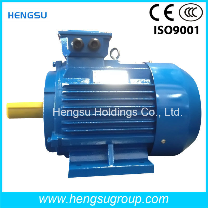 Ye2 3 Phase Electric and Induction Cast Iron Motor