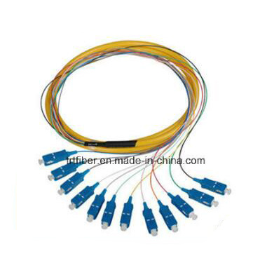 12 Color Sc Upc Singlemode 12 Core Fiber Optic Pigtail