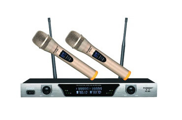 Double Channel Handheld Wireless Microphone