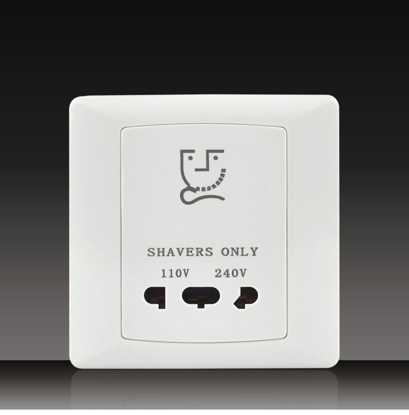 115V or 240V Shaver Socket (S86GX2)