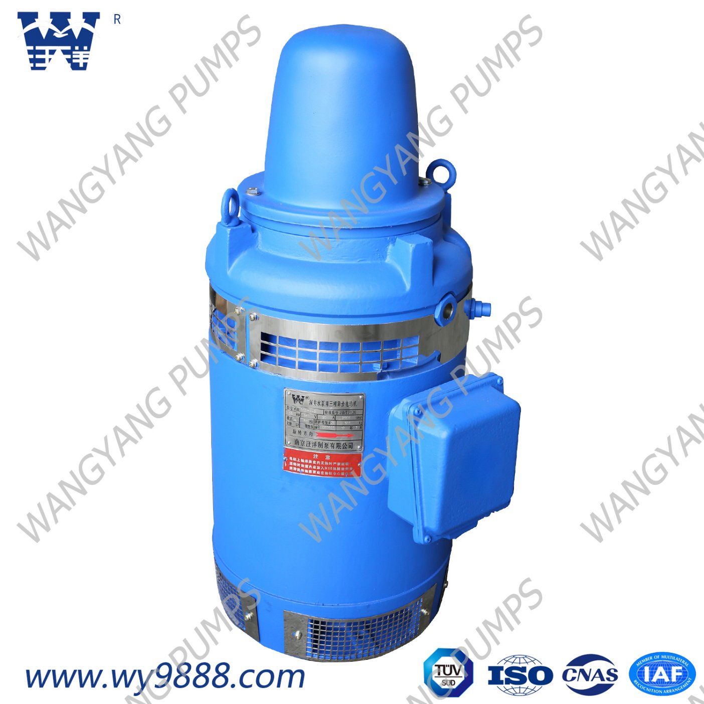 Vhs Series Vertical Hollow-Shaft Asynchronous Motor for Deep Well Pump