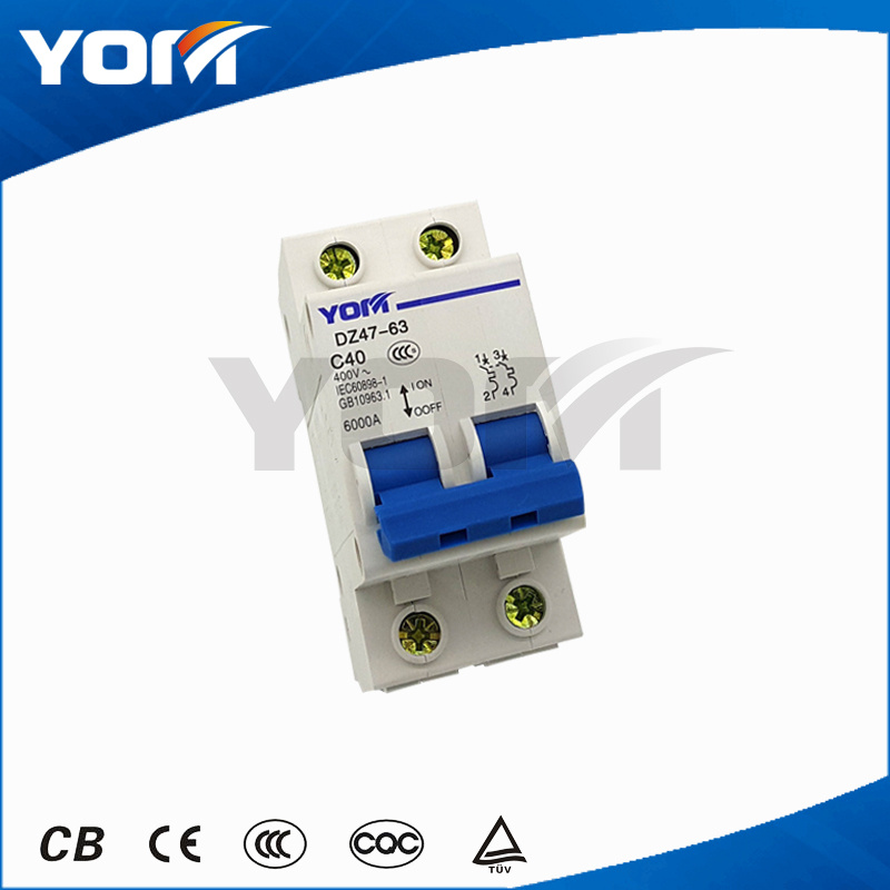 Dz47-2p RCCB (Miniature Circuit Breaker, Circuit Breaker)