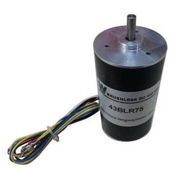 43blr BLDC Motor