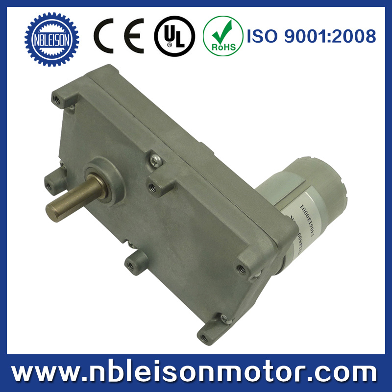 24V DC Spur Gear Reducer Motor