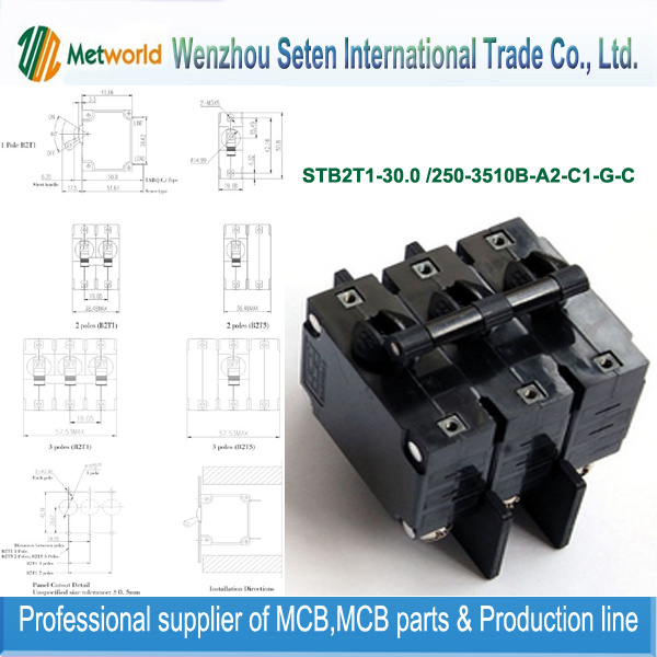 Miniature Circuit Breaker MCB (STB2T1-30.0)