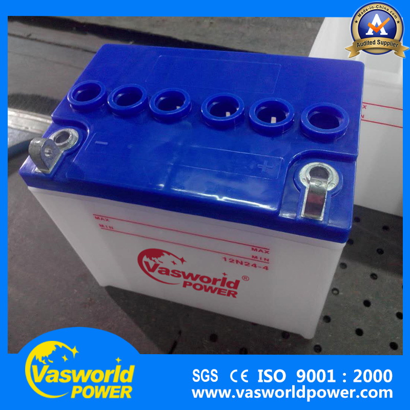 Electric Lawn Mower Battery Pack12V 24ah with High Performance